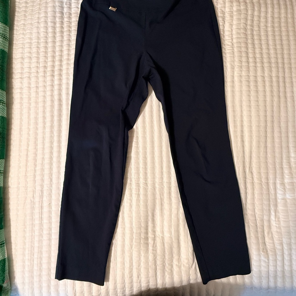 Alfani Navy Pants